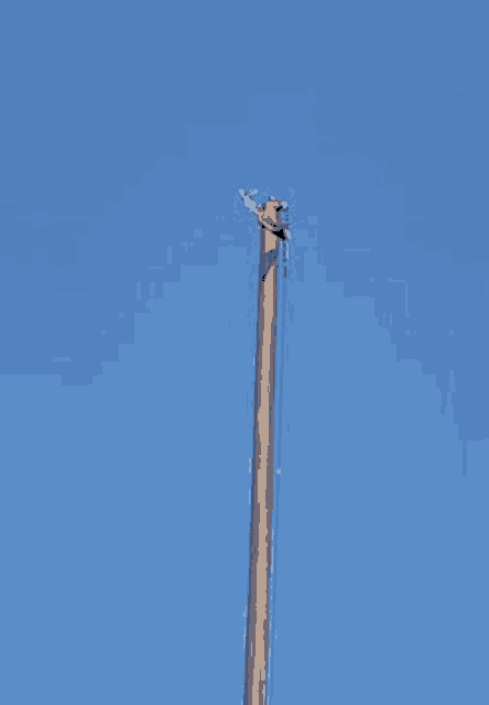 a wooden pole with a red and white flag on top