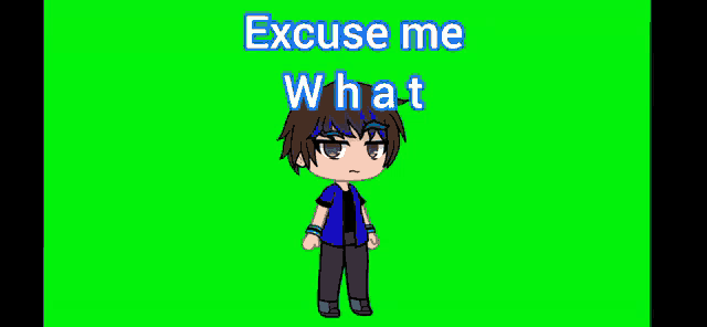a boy in a blue shirt is standing in front of a green screen with the words `` excuse me what '' .