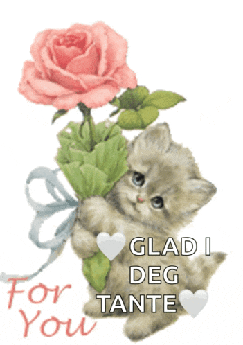 a kitten holding a pink rose with the words glad i deg tante written below it