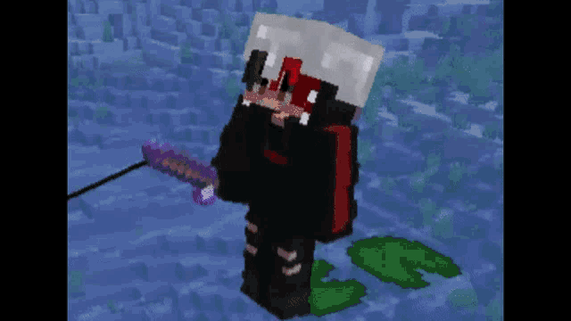 a minecraft character is holding a sword and shield in a video game .
