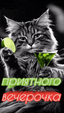 a cat is holding a martini glass and a lime slice .