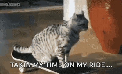 a cat is riding a skateboard with the words " takin my time on my ride " written below it .