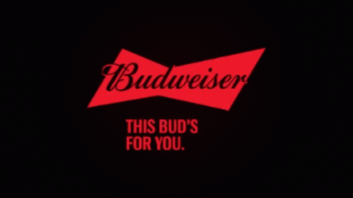 Buddy Budweiser GIF - Buddy Budweiser Beer GIFs
