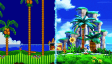 a sonic the hedgehog video game scene with palm trees and a rainbow