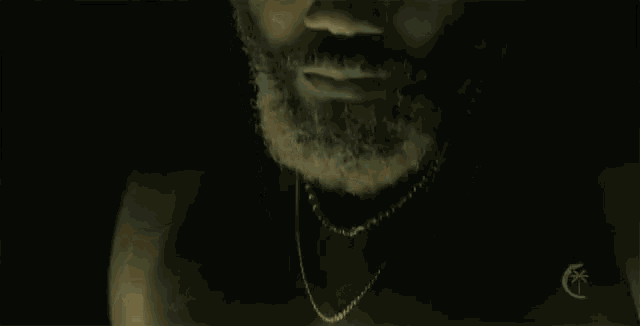 a man with a beard and a necklace around his neck