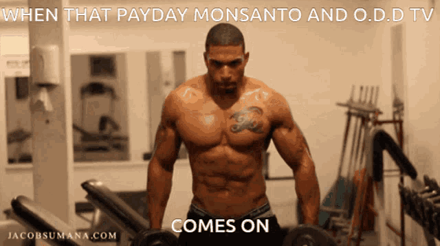 a picture of a shirtless man in a gym with the caption " when that payday monsanto and od.d. tv comes on "