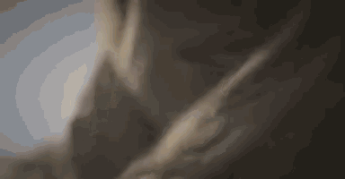 a close up of a person 's face with a blurred background