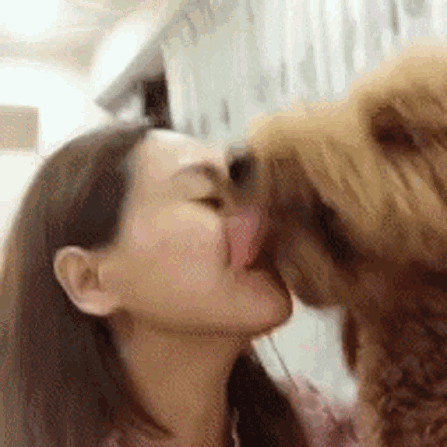 Kiss Lick GIF - Kiss Lick Dog GIFs