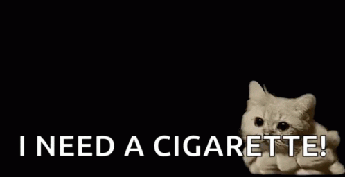 Cats Smoke GIF - Cats Smoke Weird GIFs