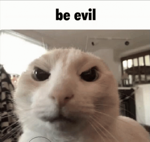 Be Evil Cat GIF - Be Evil Cat GIFs