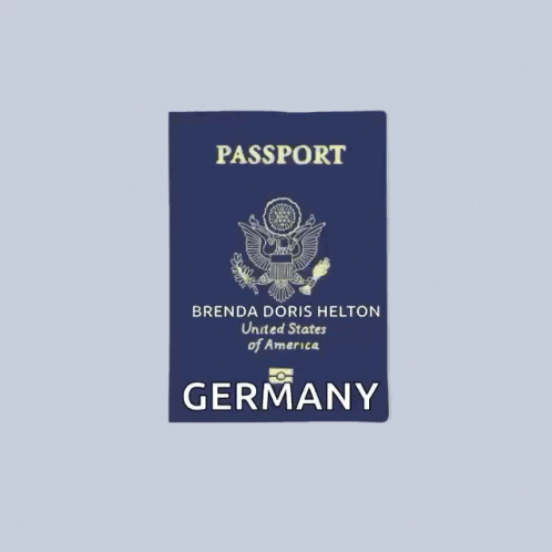 Passport Animation GIF - Passport Animation Stamp GIFs