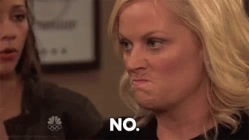 No Parks And Rec GIF - No Parks And Rec Leslie Knope GIFs