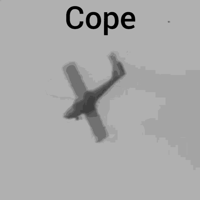 Cope Airplane GIF - Cope Airplane Piper Tomahawk GIFs