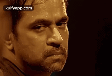 Wink.Gif GIF - Wink Actions Serious Face GIFs