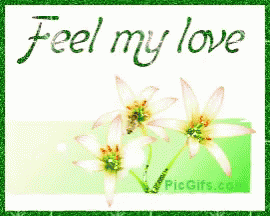 Feel My Love Flowers GIF