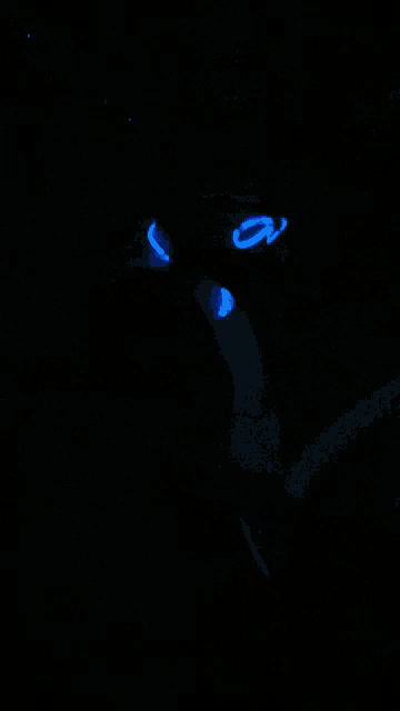 a dark background with a few blue dots in the middle