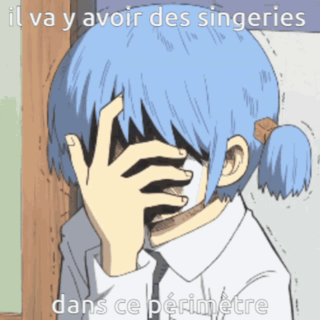 a cartoon of a girl covering her face with her hand and the caption il va y avoir des singeries dans ce perimetre