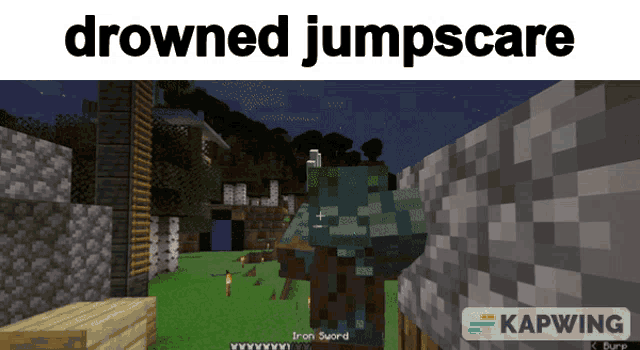 a screenshot of a video game with the words drowned jumpscare