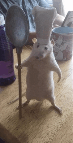 a stuffed rat wearing a chef 's hat is holding a large spoon .