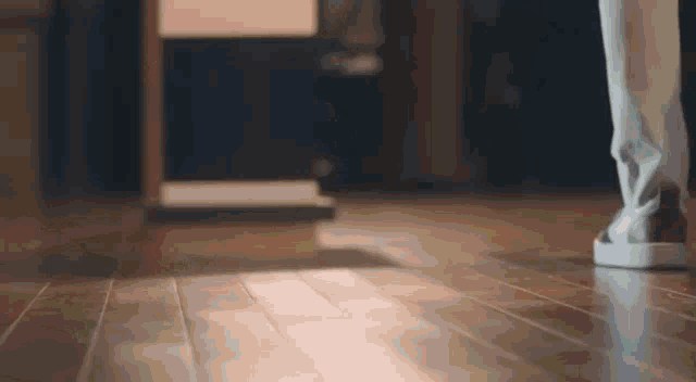 a person is walking on a wooden floor in a dark room .