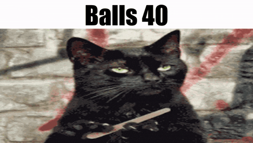 a black cat is holding a nail clipper in front of a brick wall with the words balls 40 above it