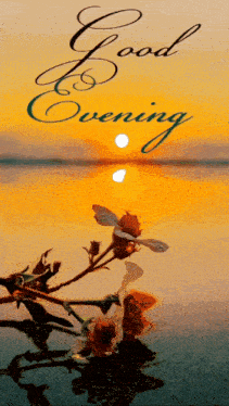 a good evening greeting card with a sunset and flowers