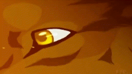 a close up of a tiger 's eye on a yellow background