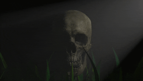 a piece of crumpled paper is laying in the dark