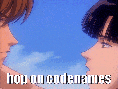 a man and a woman are looking at each other with the words hop on codenames above them