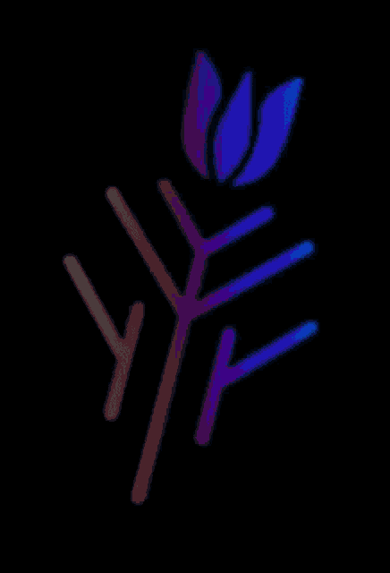 a rainbow colored icon of a flower on a black background