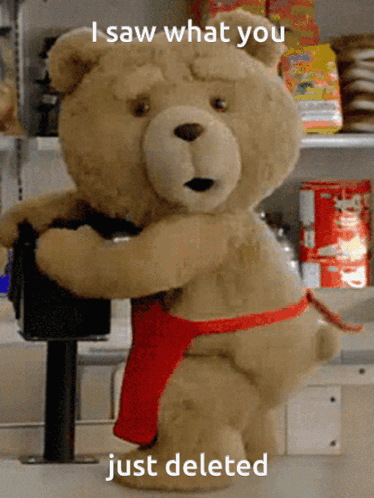 I Saw What You Deleted Humping Bear GIF - I Saw What You Deleted Humping Bear Ted Twerking GIFs