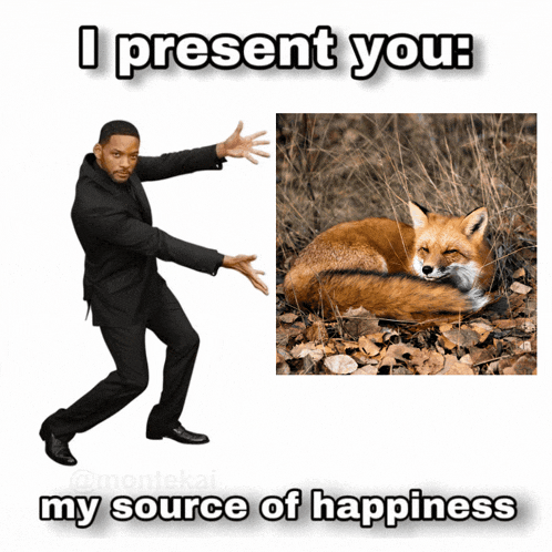 a picture of a man and a picture of a fox with the caption " i present you "