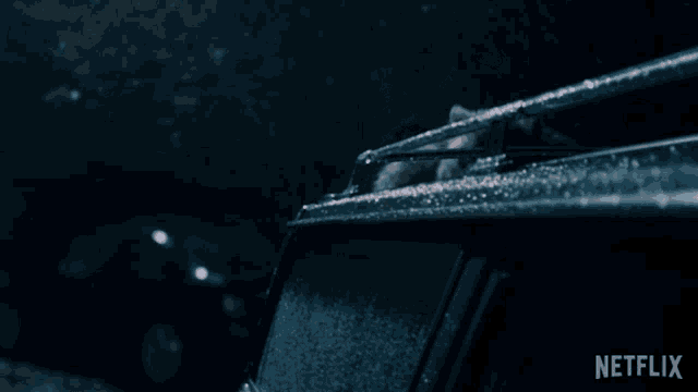 a raccoon sitting on top of a car with netflix written on the bottom