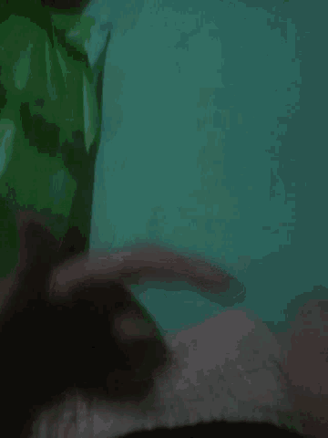 a blurry picture of a person 's hand against a green wall
