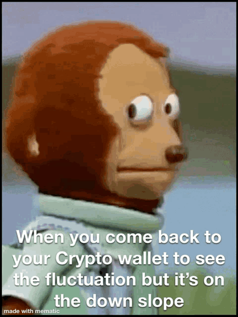 a monkey with a caption that says when you come back to your crypto wallet to see the fluctuation