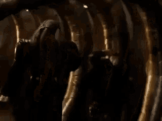 a row of elephant tusks are lined up next to each other .
