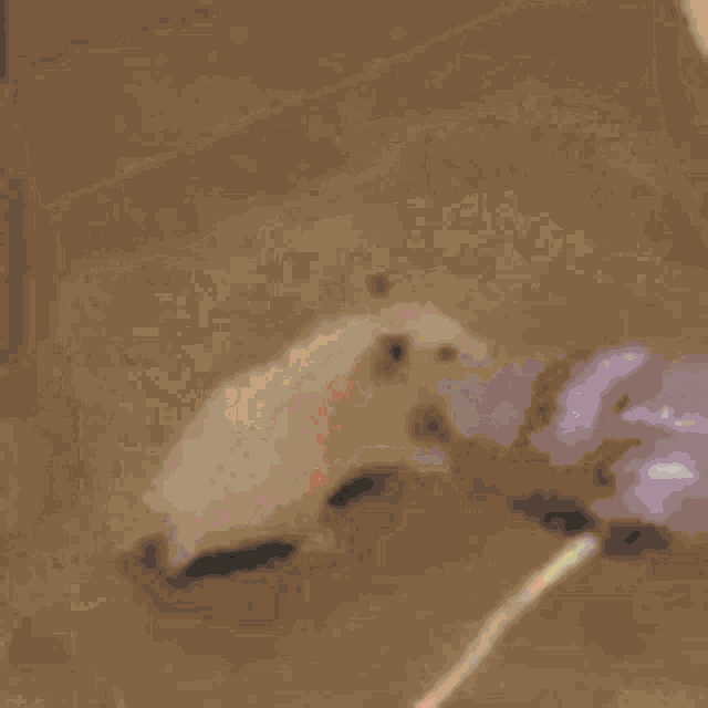 a blurred image of a person holding a remote control .