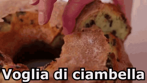 a close up of a person holding a piece of bread with the words voglia di ciambella written on it