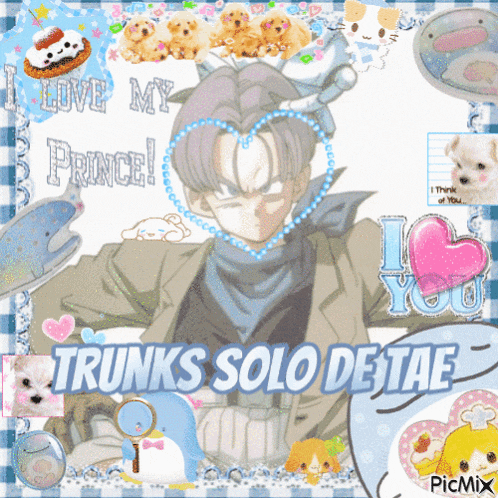 a picture of trunks solo de tae with a blue and white checkered frame