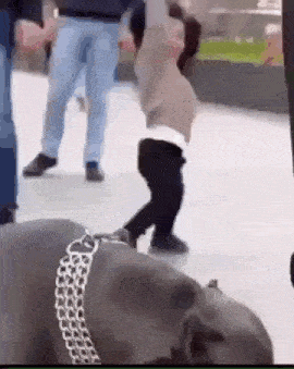 a little boy is standing next to a large dog .