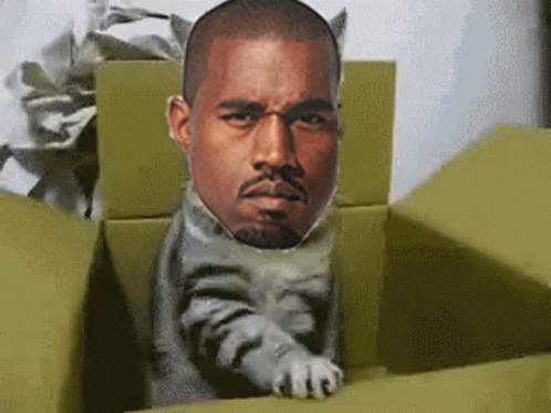 Kanye Cat Box GIF - Kanye Cat Box GIFs