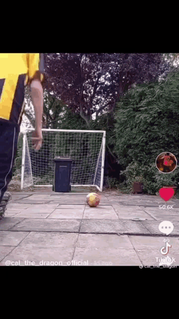 a tiktok video of a person kicking a soccer ball in front of a goal