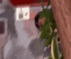 a blurry picture of a person standing in front of a wall with a plant in the foreground .