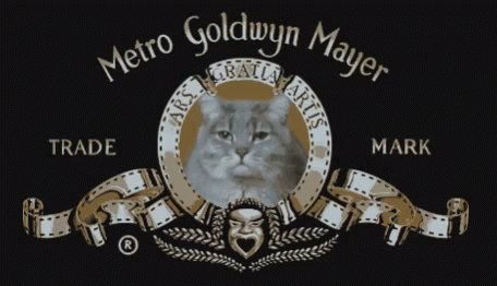 Meow Metro Goldwyn Mayer GIF - Meow Metro Goldwyn Mayer GIFs