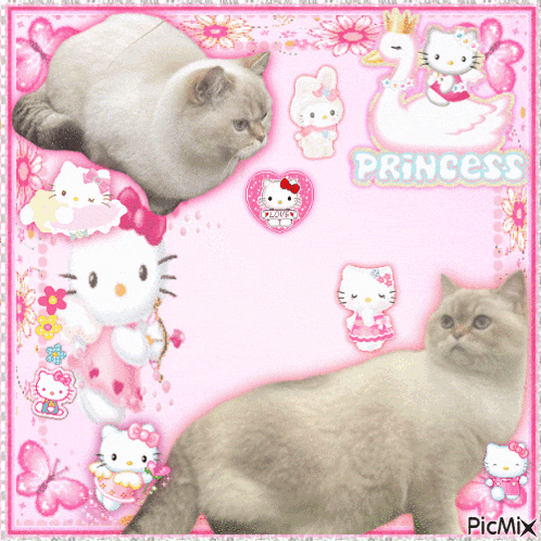 a picture of two hello kitty cats on a pink background with the word princess on it