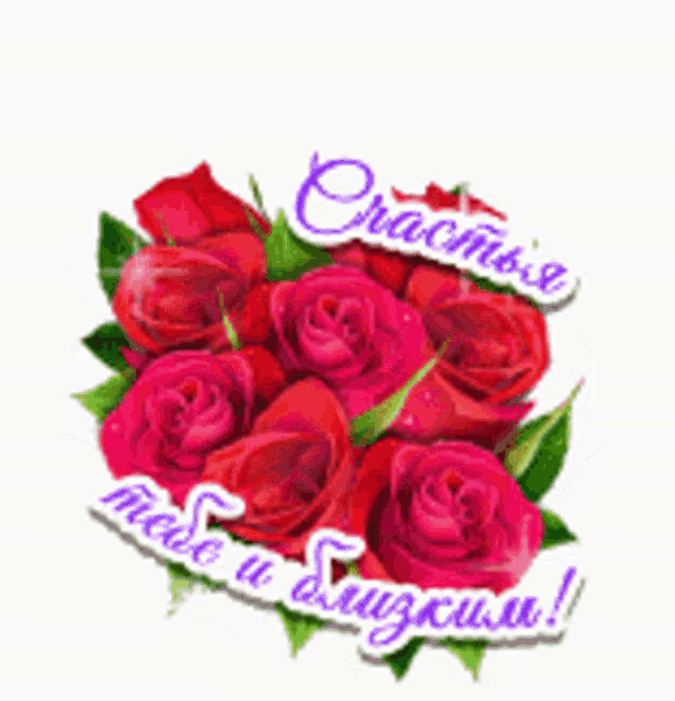 a bouquet of red roses with green leaves and a sticker that says " cracmba "