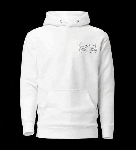 a white hoodie with a picture of a statue and the words enheduanna collection on the back