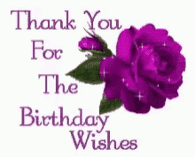 a purple rose with the words `` thank you for the birthday wishes '' written on it .