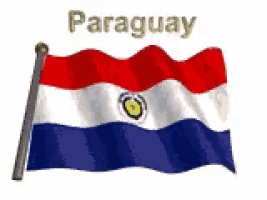 a paraguay flag is flying in the wind