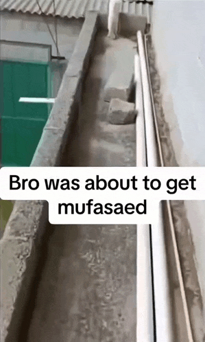 a drain on the side of a building with a caption that says `` bro was about to get mufasaed ''